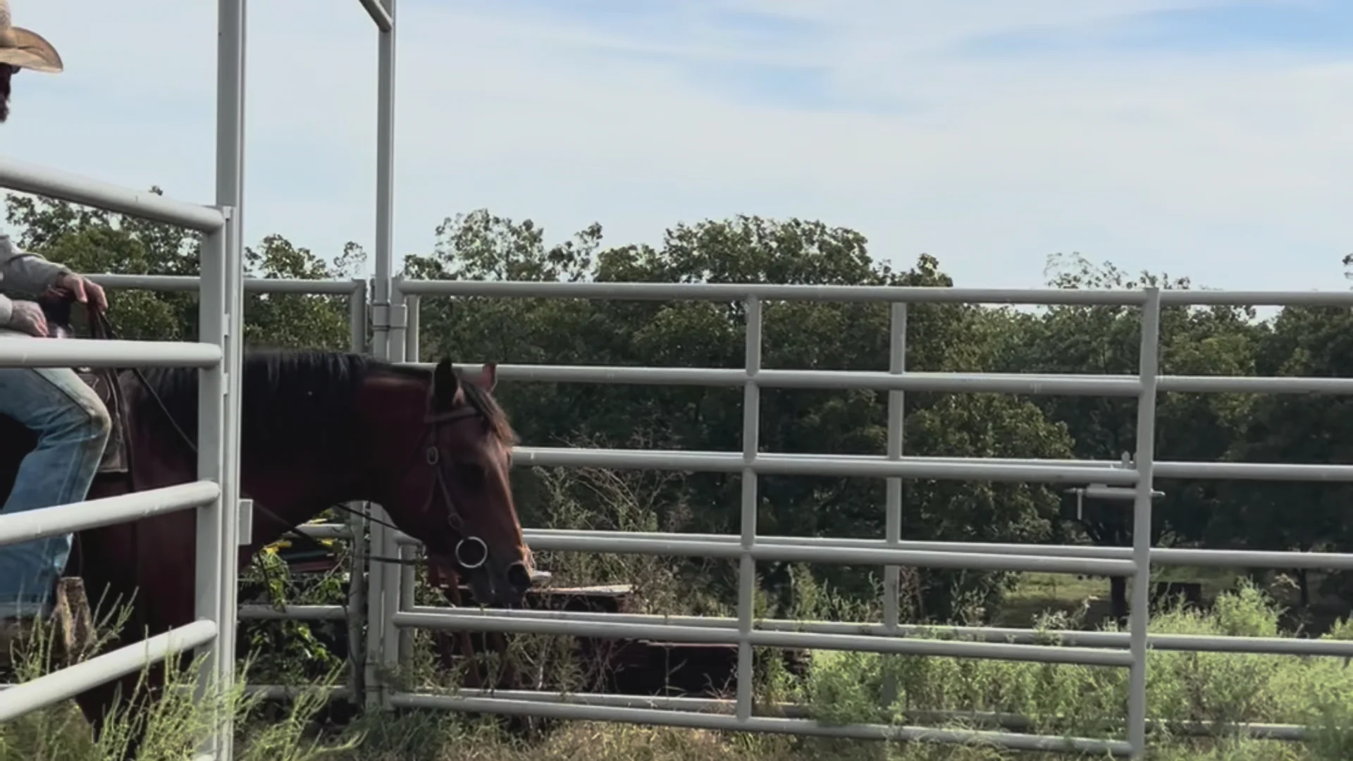 Honest Meat, Regenerative Roots